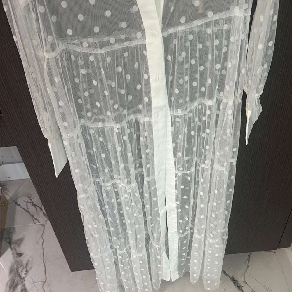 Zara Divine Ecru Polka Dot Tulle Maxi Dress. Like NEW Medium - Picture 17 of 17